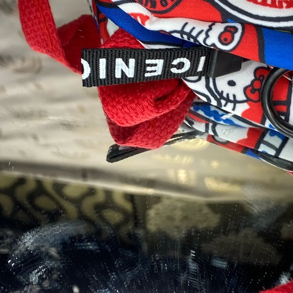 Hello Kitty Red and Blue Bag with Playful Design